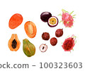 Watercolor hand drawn illustration set of tropical fruits 100323603