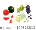 Three kinds of watercolor hand-drawn illustrations of summer fruits 100323613