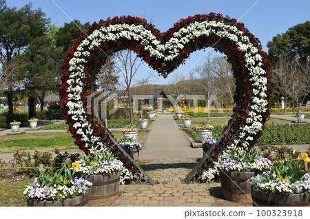 在春天的微笑中搖曳 100323918