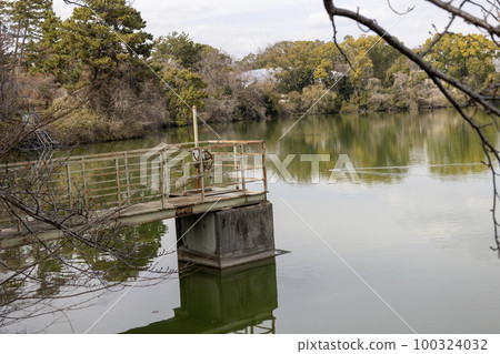 服部綠地的新宮池(2023 年 3 月 5 日拍攝) 服部綠地的新宮池(2023 年 3 月 5 日拍攝) 100324032