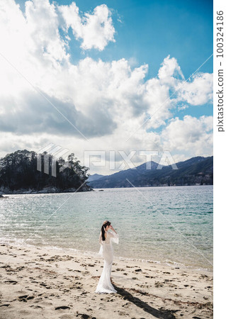 Newlyweds taking wedding photos on the beach Newlyweds taking wedding photos on the beach 100324186
