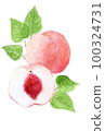 Hand drawn watercolor illustration of peach (one and half with leaves) 100324731