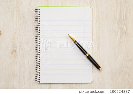 Notebook and pen 100324887