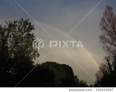 Beautiful rainbow Beautiful rainbow 100324997