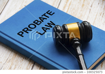 Probate law book with gavel on white background. Probate law concept and copy space. Probate law book with gavel on white background. Probate law concept and copy space. 100325073