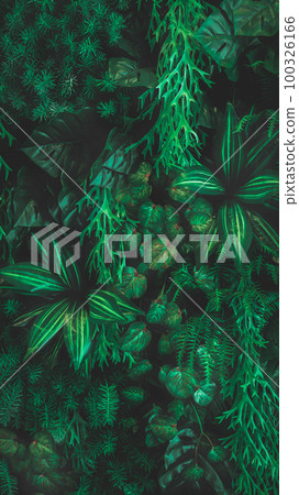 Herb wall, plant wall, natural green wallpaper and background. Herb wall, plant wall, natural green wallpaper and background. 100326166
