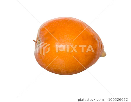 One ripe medlar fruit, close-up, isolated on a white background by clipping One ripe medlar fruit, close-up, isolated on a white background by clipping 100326652