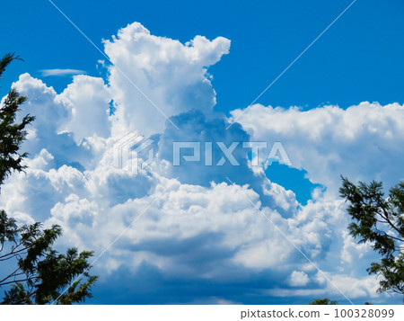 夏日意象——藍天升起的夏日白雲 夏日意象——藍天升起的夏日白雲 100328099