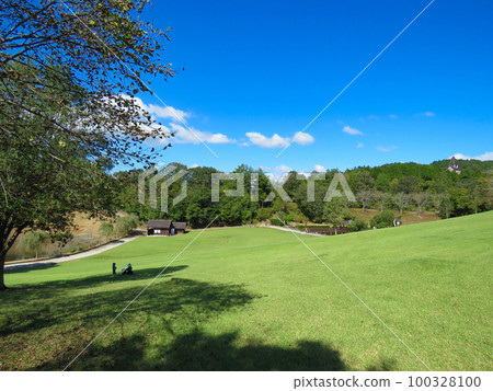 夏季形象~有草坪廣場的夏季公園 夏季形象~有草坪廣場的夏季公園 100328100