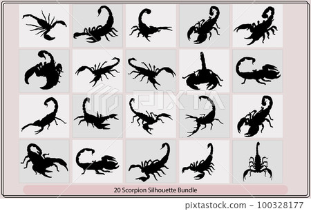 Scorpion illustration,Large Scorpion Silhouette,Scorpion Logo Vector, vector image for the tattoo, 100328177