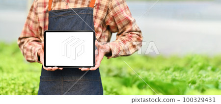 Cropped shot of male farmer in apron holding digital tablet with empty screen standing in hydroponic greenhouse 100329431