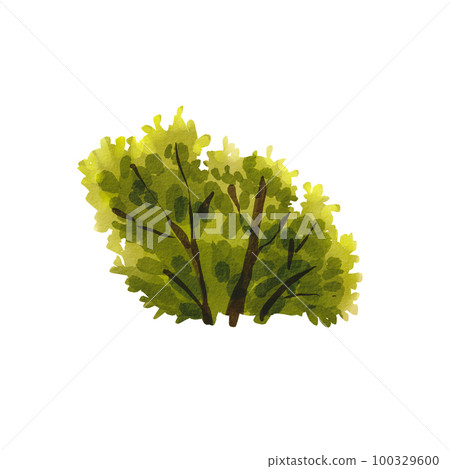A green summer bush on a white background. Watercolor illustration of a tree with leaves. Botanical drawing. A summer bush. Children's illustration is suitable for design, postcards. A green summer bush on a white background. Watercolor illustration of a tree with leaves. Botanical drawing. A summer bush. Children's illustration is suitable for design, postcards. 100329600