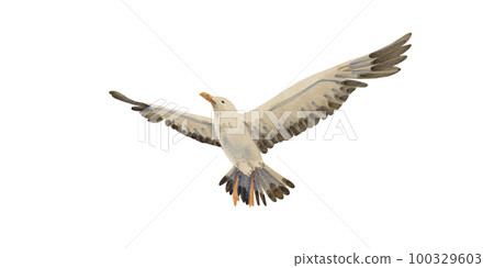 Sea gull in flight on a white background. Watercolor illustration of an albatross in the sky. A flying bird, big and gray. Cartoon style. Summer motif. Suitable for postcards, packaging, design. 100329603