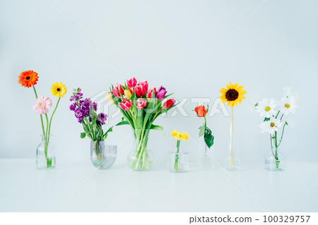 Variation of different flowers in glass vases on white table. Colorful flower arrangement or decoration in rainbow colors. Floristy, making bouquets. Flowers delivery. Selective focus. Copy space. Variation of different flowers in glass vases on white table. Colorful flower arrangement or decoration in rainbow colors. Floristy, making bouquets. Flowers delivery. Selective focus. Copy space. 100329757