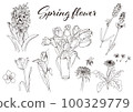 各種春天的花朵_手繪插畫集01 100329779