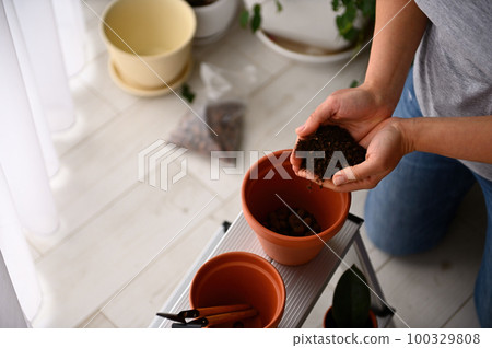 Overhead view of woman's hands holding fertilized black soil and putting it in the clay pot while repotting houseplants or seedlings at home. Floriculture. Sustainable lifestyle. Earth Day concept Overhead view of woman's hands holding fertilized black soil and putting it in the clay pot while repotting houseplants or seedlings at home. Floriculture. Sustainable lifestyle. Earth Day concept 100329808