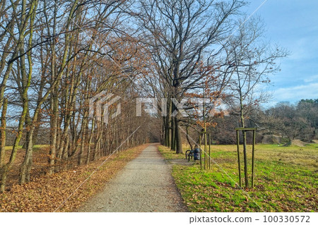 View of the empty trail on a sunny spring day. View of the empty trail on a sunny spring day. 100330572