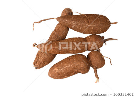 Organic Cassava root isolated on white background. Yucca 100331401