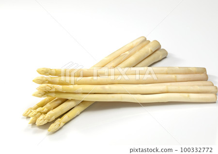 white asparagus with white background white asparagus with white background 100332772