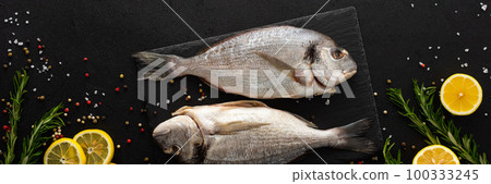 Dorada fish on a black background Dorada fish on a black background 100333245