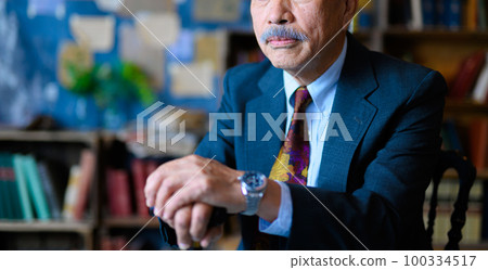 Senior male portrait 100334517