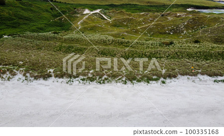 White sandy beach, hilly terrain. Thickets of marram grass. European beachgrass 100335168