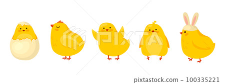 Cartoon set of Easter chickens. Cartoon set of Easter chickens. 100335221
