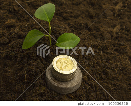 Green sprout grows in black soil. A pile of coins on peat tablets symbolizes growth. Concept of saving money and financial growth. Horizontal, banner, cover, mockup, for design 100336226