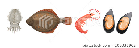 Seafood and Marine Delicacy with Squid, Flounder, Shrimp and Oyster Vector Set 100336902