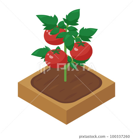 農場遊戲 illustration_tomato_isometric 100337260