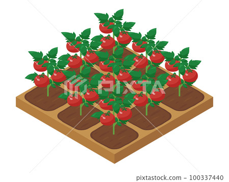 農場遊戲 illustration_tomato_isometric 100337440