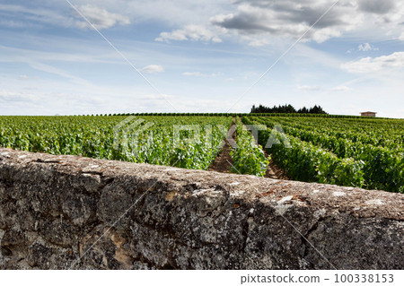 Landscape of a French village near Bordeaux Landscape of a French village near Bordeaux 100338153