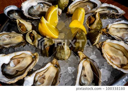 Fresh oysters and whelk platter with lemon on the ice.  100338180
