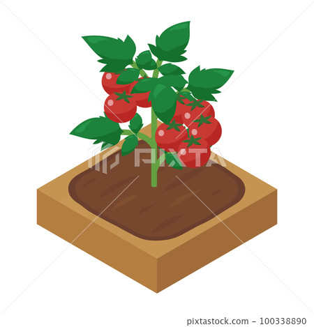 農場遊戲插圖_迷你番茄_等距 100338890