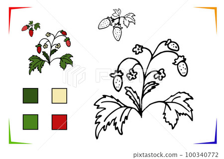 Strawberry Coloring Page. Vector Educational worksheet colored by sample. Paint game preschool kids 100340772