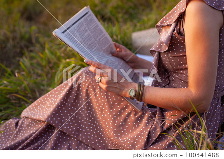 A woman in brown dress sits on a picnic in a park with panoramic view 100341488