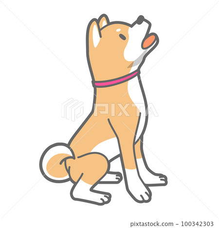 矢量圖的嚎叫 Shiba Inu 100342303