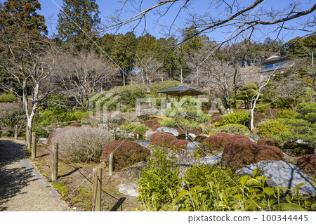 Mt. Myojo Mimurotoji Garden (end of February) Mt. Myojo Mimurotoji Garden (end of February) 100344445