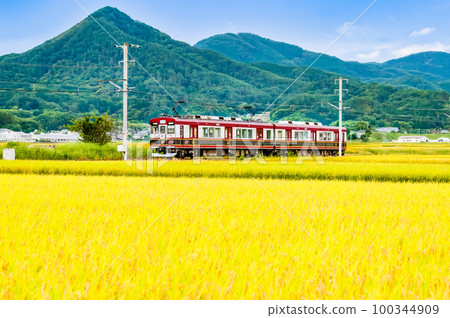 穿過金穗稻田的上田電鐵 100344909