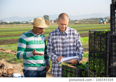 Farmers discussing documents near boxes with vegetables on field 100345504