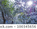Snowy mountains in winter Trees covered with snow 100345656