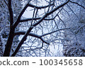 Snowy mountains in winter Trees covered with snow 100345658
