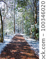 beautiful mountain road in snowy mountains 100346020