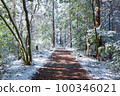 beautiful mountain road in snowy mountains 100346021