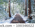 beautiful mountain road in snowy mountains 100346022