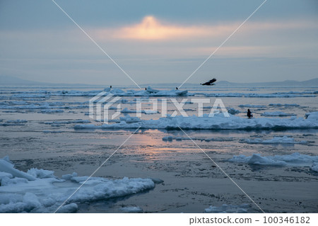 漂流冰 100346182