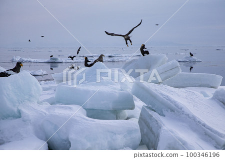 漂流冰 漂流冰 100346196