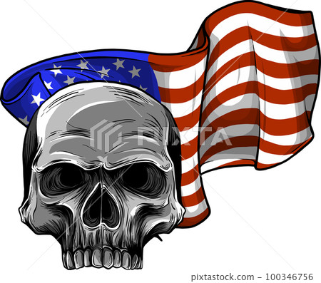 American flag with skull vector illustration design 100346756