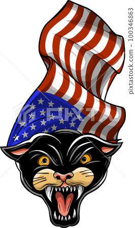 black panther with america flag black panther with america flag 100346863