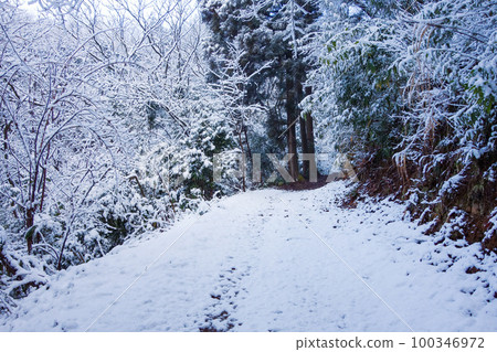 Snow mountain trail [winter scenery] 100346972